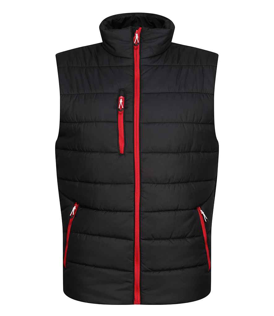 Regatta - Navigate Thermal Bodywarmer - Pierre Francis