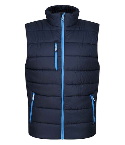 Regatta - Navigate Thermal Bodywarmer - Pierre Francis