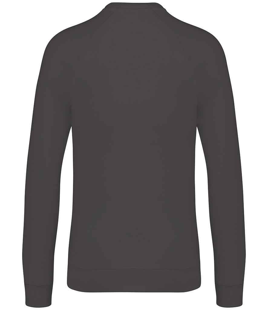 Native Spirit - Unisex Raglan Sleeve Sweatshirt - Pierre Francis