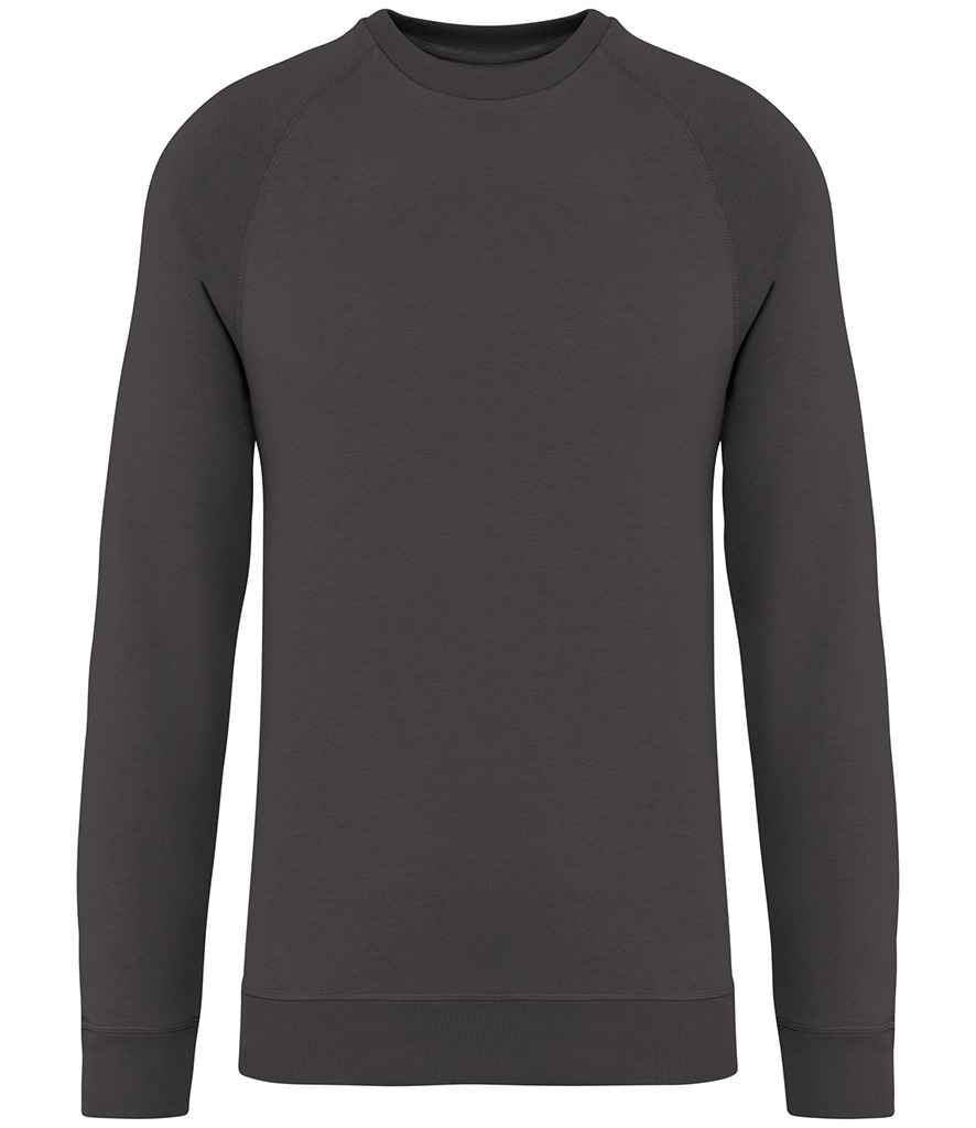 Native Spirit - Unisex Raglan Sleeve Sweatshirt - Pierre Francis